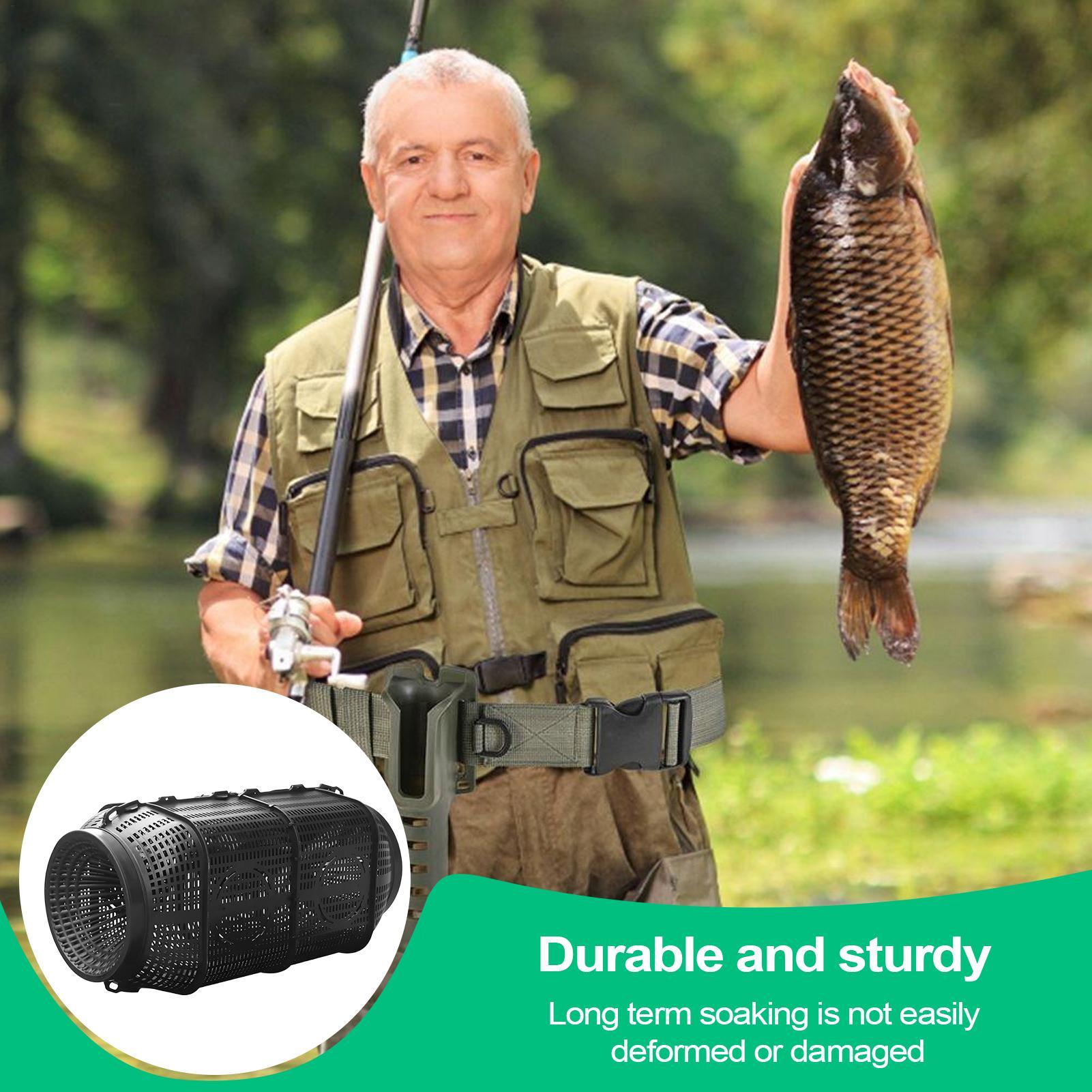 Fish Trap Portable Minnow Trap - Fishing Equipment Bait reseña y precio