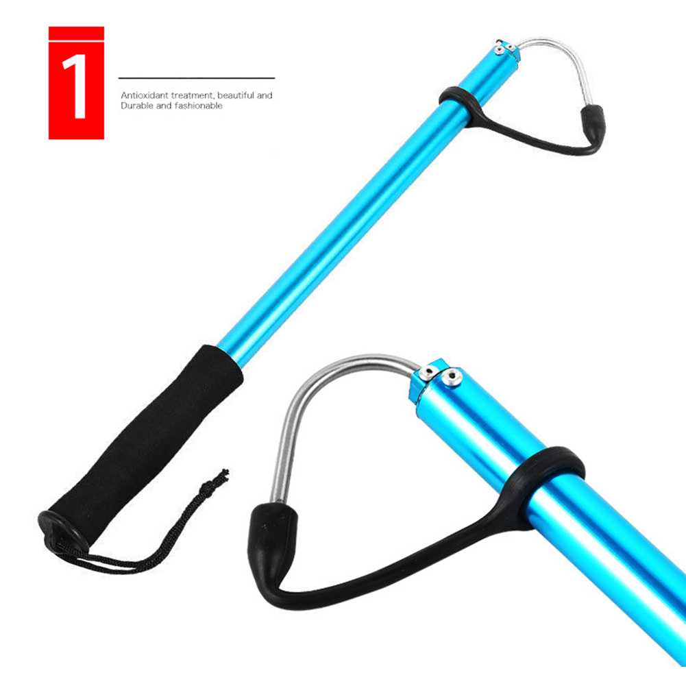 60/89/116cm Telescopic Retract - Landing Net Telescopic reseña y precio