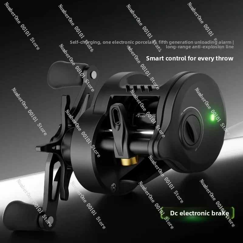 Electronic Magnetic Brake Fish - Baitcasting Reel reseña y precio