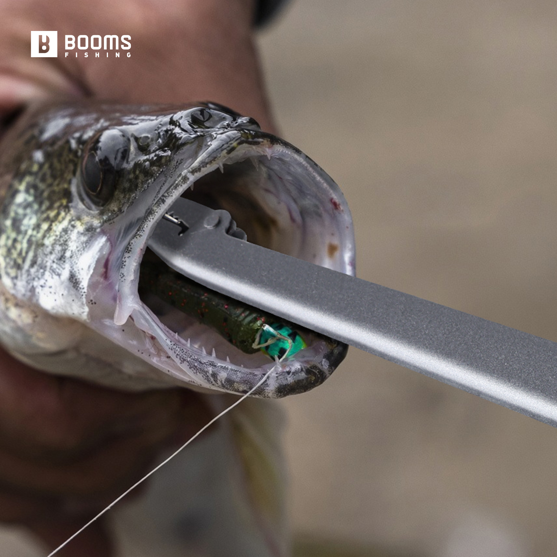 Booms Fishing 25cm Carbon Stee - Fishing Equipment Warehouse reseña y precio